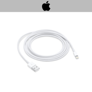 Apple Lightning To USB Cable (2M)